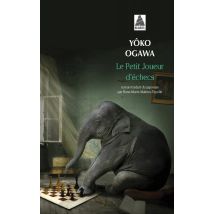 Le Petit Joueur D'Échecs