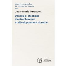 L'Energie : Stockage Electrochimique Et Developpement Durable
