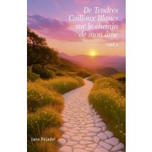 De Tendres Cailloux Blancs Sur Le Chemin De Mon Âme