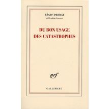 Du Bon Usage Des Catastrophes