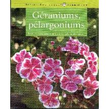 Geraniums Pelargoniums