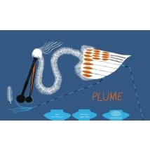 Plume