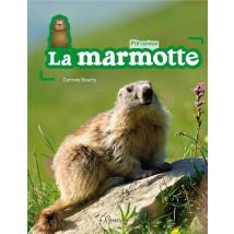 La Marmotte