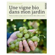 Une Vigne Bio Dans Mon Jardin : Planter Et Conduire Sa Vigne, Cultiver Son Raisin De Table, Vinifier