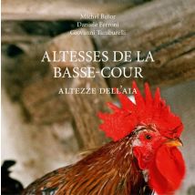Altesses De La Basse-cour - Altezze Dell'aia