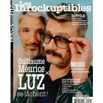 Les Inrocks N.34 : Guillaume Meurice X Luz