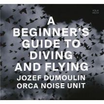 A Beginner's Guide To Diving And Flying