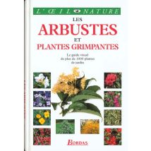 Les Arbustes Et Plantes Grimpantes