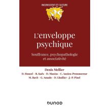 L'Enveloppe Psychique