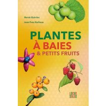 Plantes À Baies & Petits Fruits