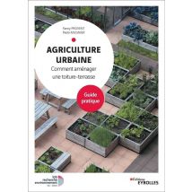 Agriculture Urbaine - Comment Aménager Une Toiture-terrasse