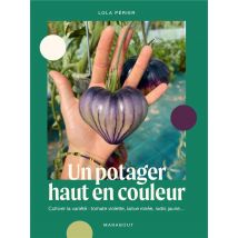 Un Potager Haut En Couleur