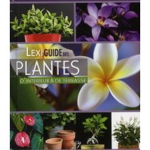 Lexiguide Des Plantes D'Intérieur Et De Terrasse