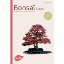 Bonsaï D'Intérieur Et D'Extérieur - Comment Les Entretenir Facilement
