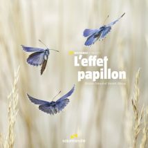 L'Effet Papillon