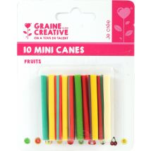 10 Mini Canes Fimo À Trancher - Fruits - Graine Creative