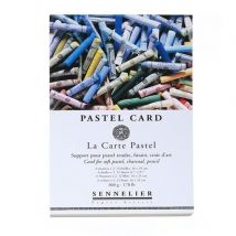 Bloc Pastel Card 16 X 24 Cm 12 Feuilles - Sennelier