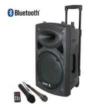 Boost - Enceinte Portable 100w+ 2 Micros