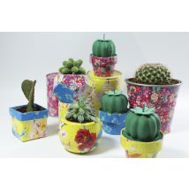 Cactus Mexicain - H18,5cm - Decopatch