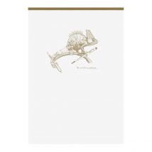 1 Carnet - Format A5 14.8 X 21 Cm - Flying Spirit White - Clairefontaine - 140 Pages Lignées - Designs Assortis