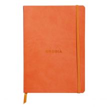 Carnet - Format A5 14.8 X 21 Cm - Rhodiarama - Rhodia - 160 Pages Pointillées - Tangerine