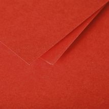 25 Cartes Pliées Pollen 110x155 Mm - Rouge Corail - Clairefontaine