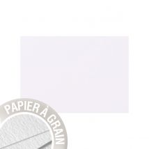 5 Cartes Grain De Pollen 105x148 Mm - Blanc - Grain De Pollen