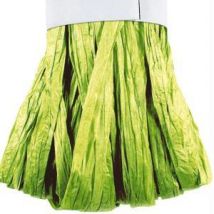 Echeveau Raphia Vert Clair - Rayher