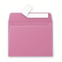 20 Enveloppes Pollen 90x140 Mm - Rose Hortensia