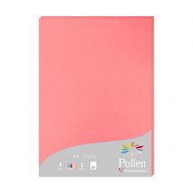 1 Étui De 25 Feuilles Pollen 210x297 Mm 210g - Litchi Scrapbooking