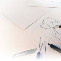 Feuille Bristol Blanc 250g 50x65 À L'Unité - Canson