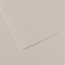 Feuille Mi-teintes Canson - 50 X 65 Cm - 160g/m² - Gris Perle