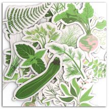 20 Chipboards - Oh My Green - Toga - Draeger by Toga