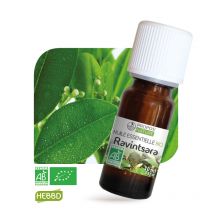 Huile Essentielle De Ravintsara Bio - 10 Ml - Propos'Nature