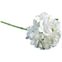 Tige Hortensia Blanc - 33 Cm - Rayher