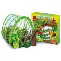 Kit Botanique Jardin Jungle Kit Botanique Jardin Jungle Exotique