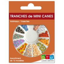 Mini Canes Animaux - Fimo - 12 Modèles - Graine Creative