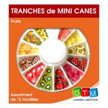 Mini Canes Fruits - Fimo - 12 Modèles - Graine Creative