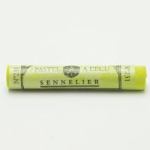 Pastel Tendre À L'Écu - Vert De Chrome 231 - Sennelier