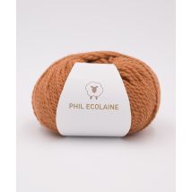 Phil Ecolaine Noisette - Phildar - Pelote De Laine
