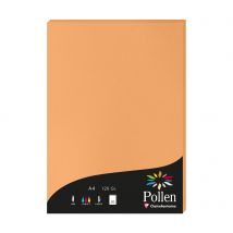 1 Étui De 50 Feuilles Pollen 210x297 Mm 120g - Clémentine - Clairefontaine