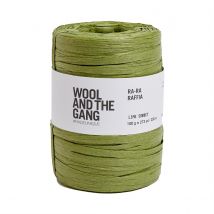 Fil À Crocheter Wool And The Gang - Ra-ra Raffia - Vert Gazon - Wool And The Gang