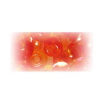 Perles De Rocaille Two Tone - Corail
