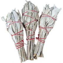 Sauge Blanche Californie Tulipe - 20g - Fragrances & Sens