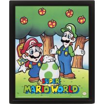 Cadre 3d Lenticulaire - Super Mario - Super Mario World Mario Et Luigi - Wtt