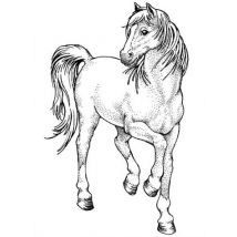 Tampon Bois Cheval Sautillant Tampon Bois Cheval Sautillant Scrapbooking