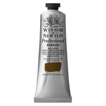 Professional Acrylic Colour- 60ml - Terre D'Ombre Naturelle - Winsor & Newton