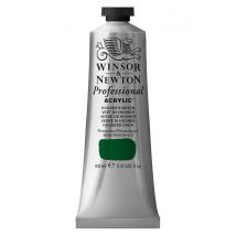 Professional Acrylic Colour- 60ml - Vert De Hooker - Winsor & Newton