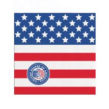 20 Petites serviettes en papier USA