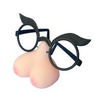 Lunettes humoristiques nibards adulte
